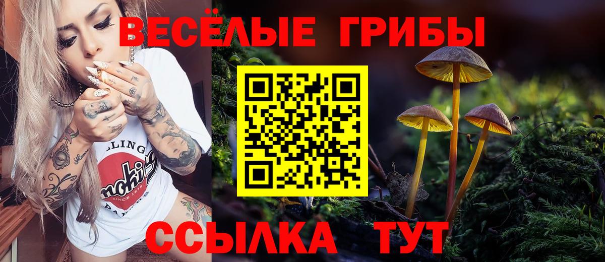 Псилоцибиновые грибы Psilocybe Георгиевск